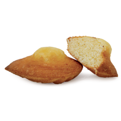 Madeleine classique sachet fraîcheur 1pc 25grs (Bte : 100pcs)